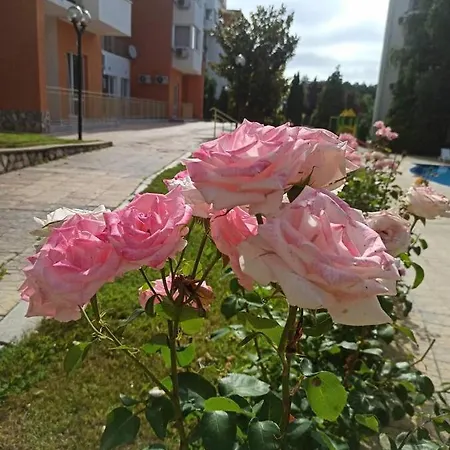 Rose An With The View At The Sea, Svieti Vlas, Bulgaria Lejlighed Sveti Vlas